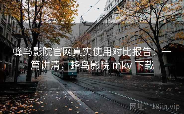 蜂鸟影院官网真实使用对比报告：一篇讲清，蜂鸟影院 mkv 下载