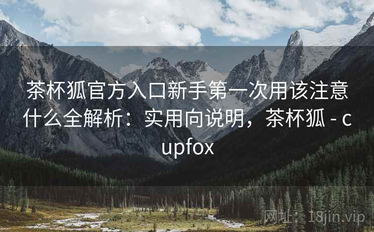 茶杯狐官方入口新手第一次用该注意什么全解析：实用向说明，茶杯狐 - cupfox