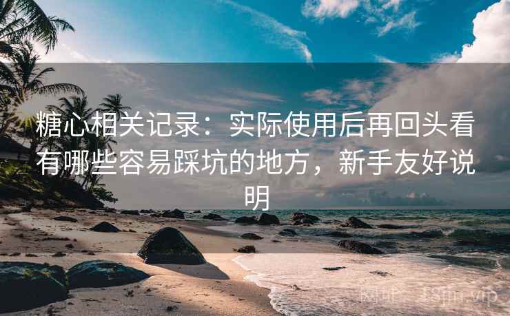 糖心相关记录：实际使用后再回头看有哪些容易踩坑的地方，新手友好说明