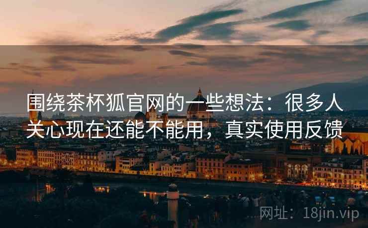 围绕茶杯狐官网的一些想法：很多人关心现在还能不能用，真实使用反馈